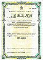 Де_Визио_лицензия-1 (Барнаул)